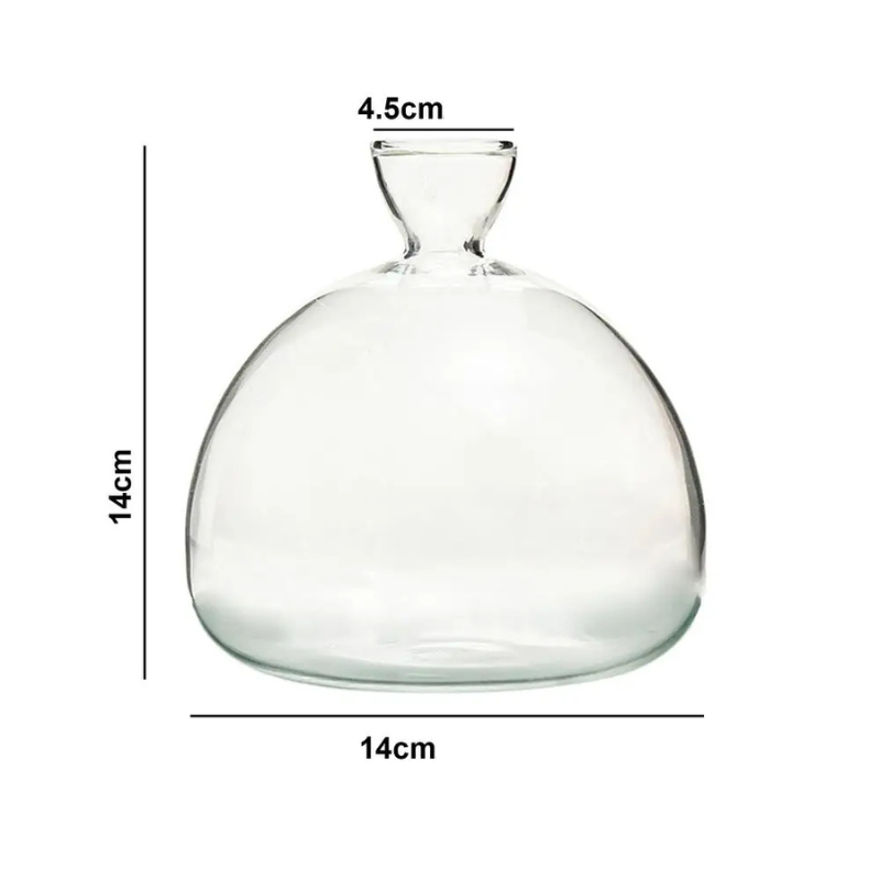 Vase Hydroponique en Verre Transparent | Spécial Noyau d’Avocat