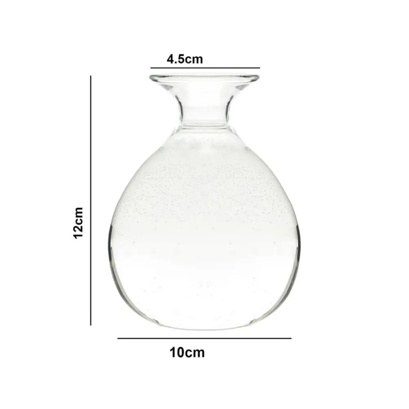 Vase Hydroponique en Verre Transparent | Spécial Noyau d’Avocat