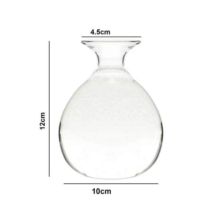 Vase Hydroponique en Verre Transparent | Spécial Noyau d’Avocat