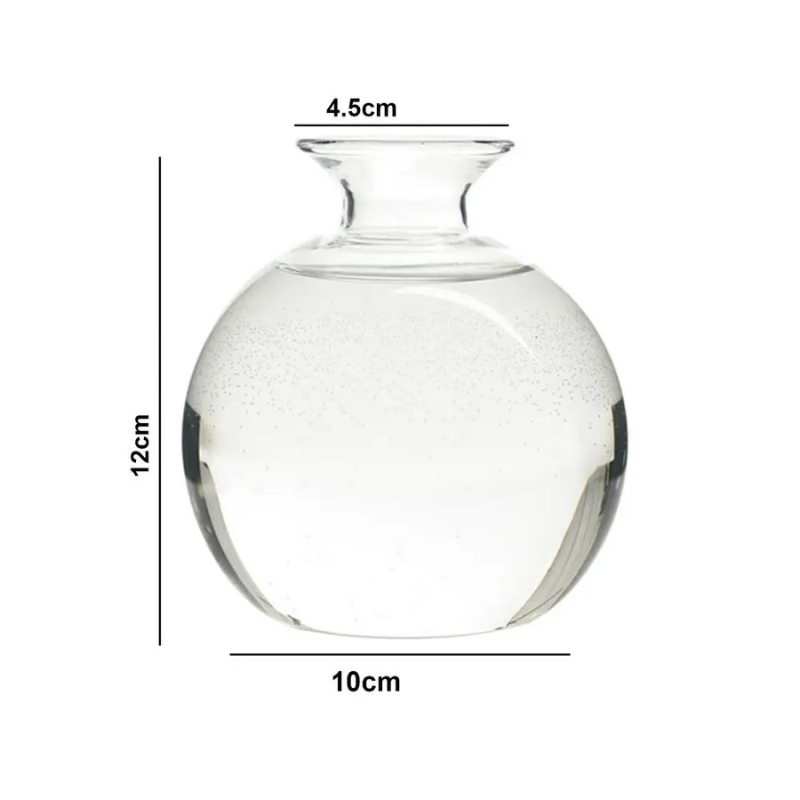 Vase Hydroponique en Verre Transparent | Spécial Noyau d’Avocat