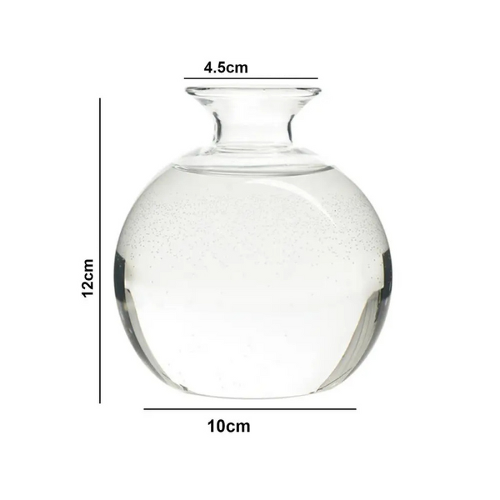 Vase Hydroponique en Verre Transparent | Spécial Noyau d’Avocat