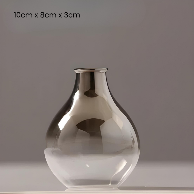 Vase à Fleurs Scandinave en Verre | Dégradé Argenté et Élégant