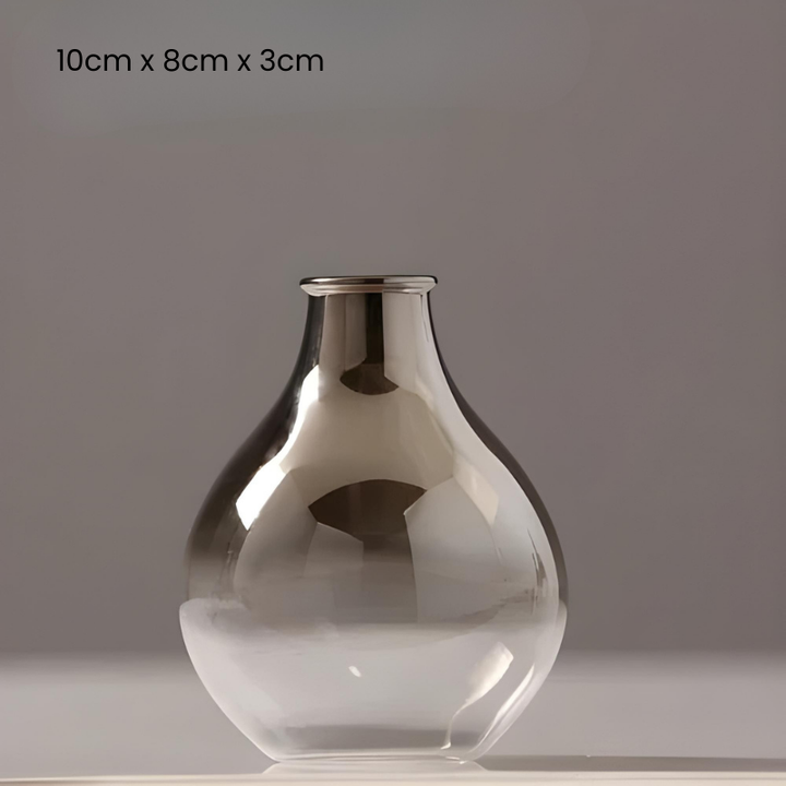 Vase à Fleurs Scandinave en Verre | Dégradé Argenté et Élégant