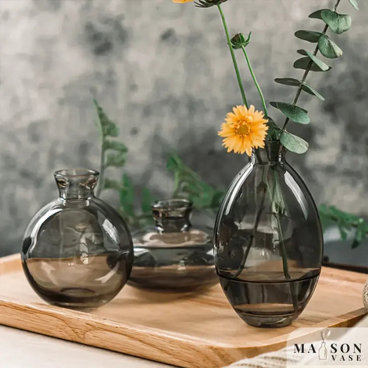 Ensemble de Trois Petits Vases en Verre | Design Moderne et Raffiné - Maison Vase