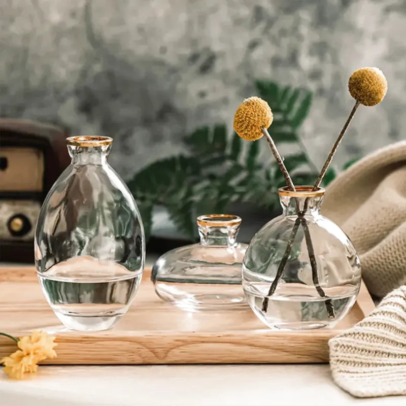 Ensemble de Trois Petits Vases en Verre | Design Moderne et Raffiné - Maison Vase