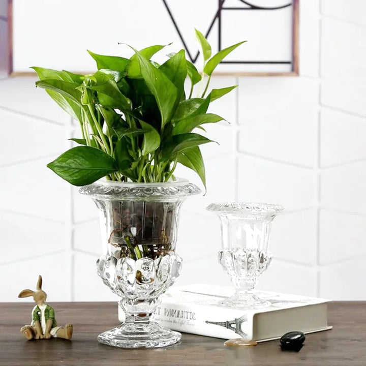 Petit Vase en Verre Transparent | Élégant et Décoratif - Maison Vase