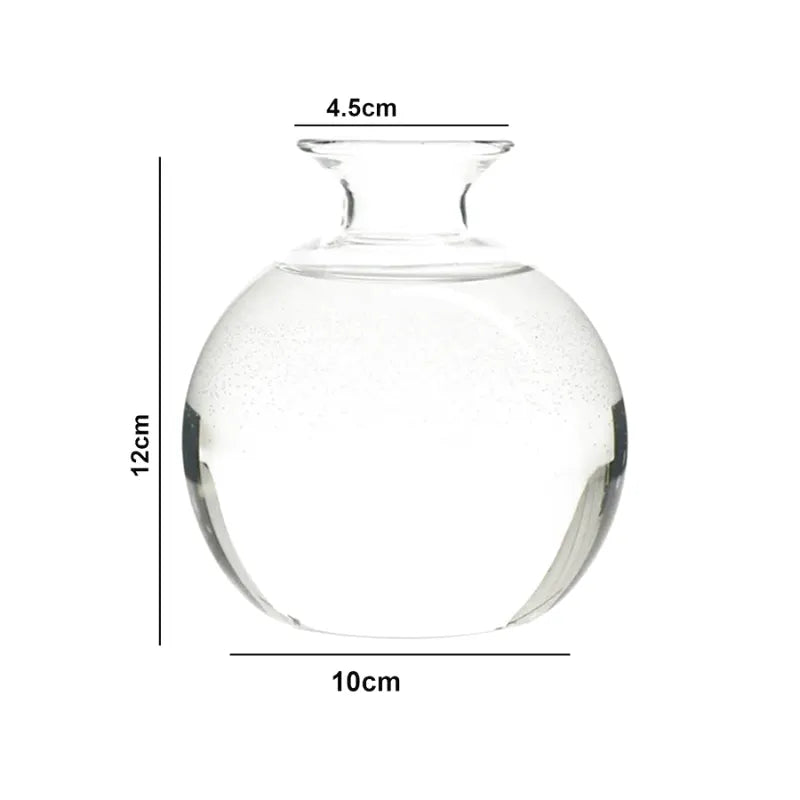 Vase Hydroponique en Verre Transparent | Spécial Noyau d’Avocat - Maison Vase