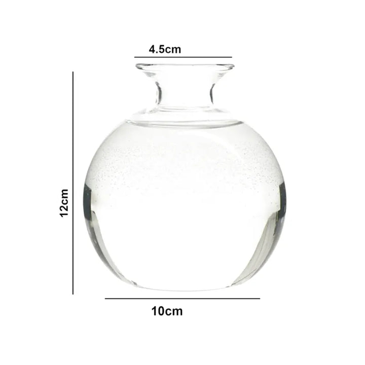 Vase Hydroponique en Verre Transparent | Spécial Noyau d’Avocat - Maison Vase