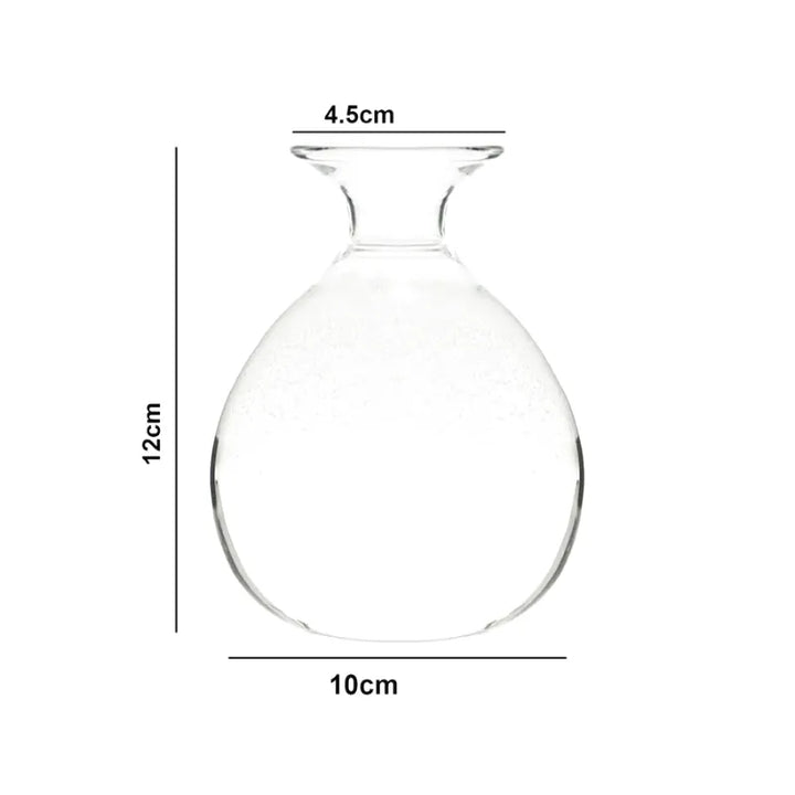 Vase Hydroponique en Verre Transparent | Spécial Noyau d’Avocat - Maison Vase