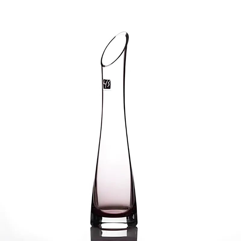 Vase Soliflore en Verre Transparent | Design Oblique Moderne - Maison Vase